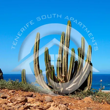 Playa Honda Apartment Playa de las Americas (Tenerife)